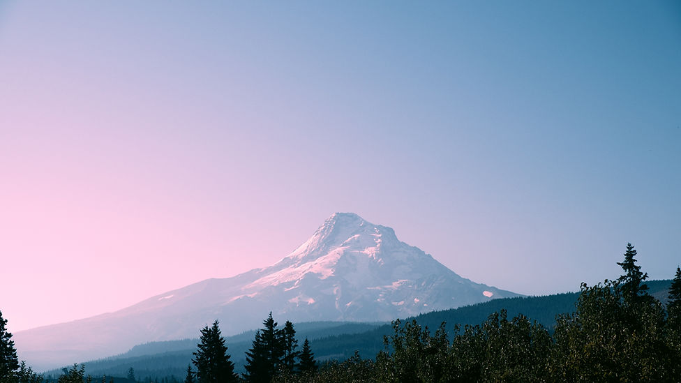 Image by Jesse Borovnica