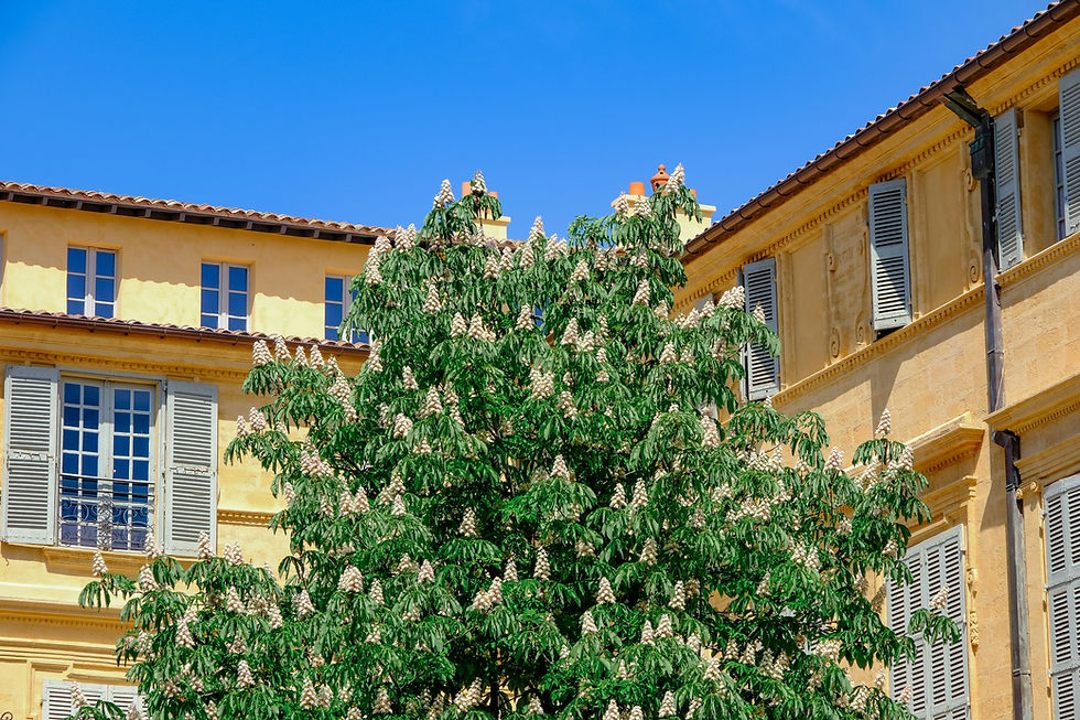 Témoignages: pourquoi j'ai choisi de vivre à Vitrolles