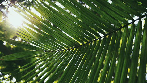 Where You're Standing - Palm Sunday Service 28.03.21