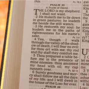 The Lord is my shepherd