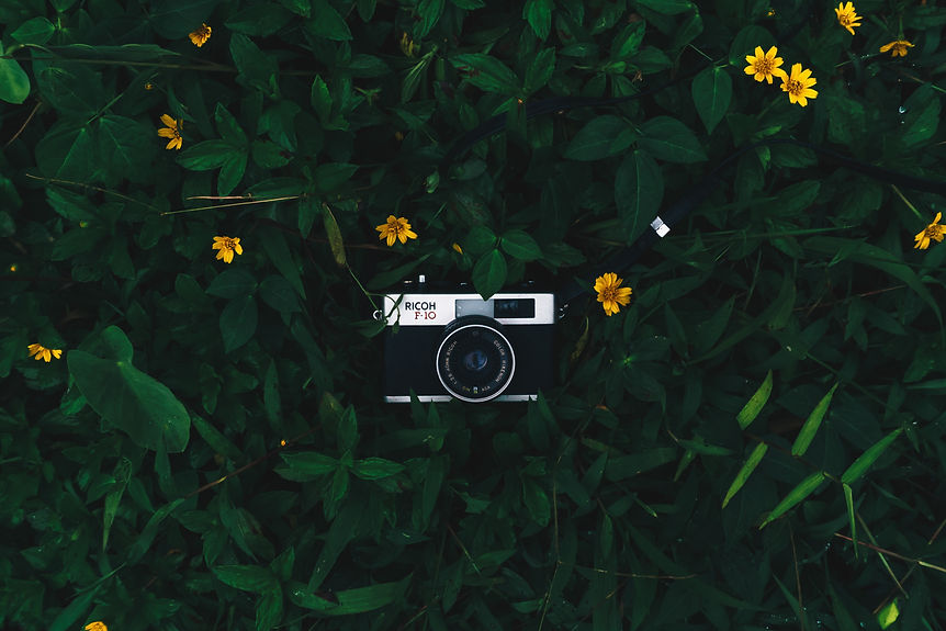 Image by krisna QR