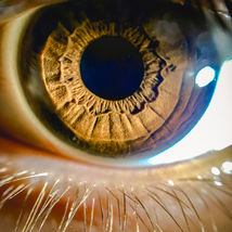 The Rise of Micro-Moments: Winning in Digital Marketing's New Battleground