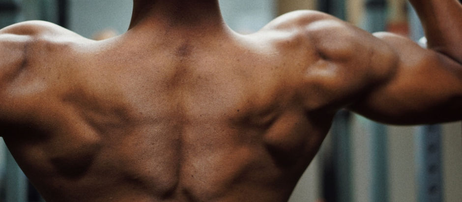 The Sleep-Muscle Connection
