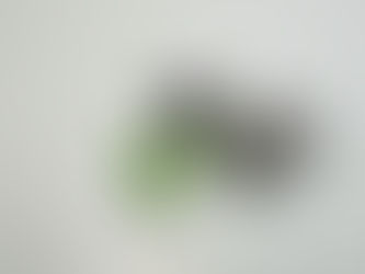 FREEDOM FROM OVEREATING: DAY 21