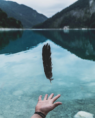Image by Paul Gilmore