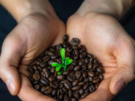 [Coffee] Fairtrade: good intentions or numbers game.