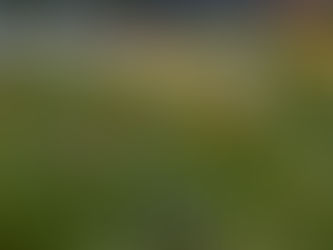 4. When Therapy Feels Like Too Much: A Gentle Approach to Trauma Healing