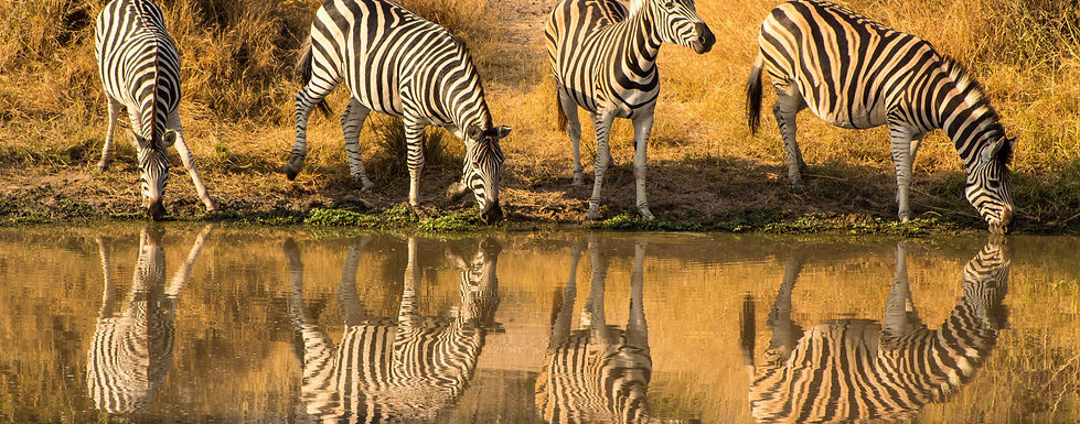 Rural/Adventure regions