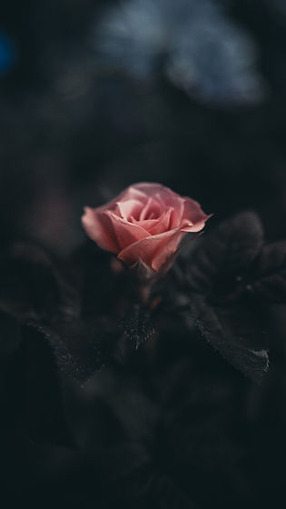 Image by Saffu