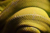 Image by Jesper Aggergaard