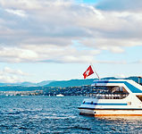 Haushälterin Schweiz; Hauswirtschafterin; Reinigung; Kinderbetreuung; Haushaltsorganisation, Job im Haushalt