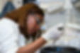 Image by National Cancer Institute