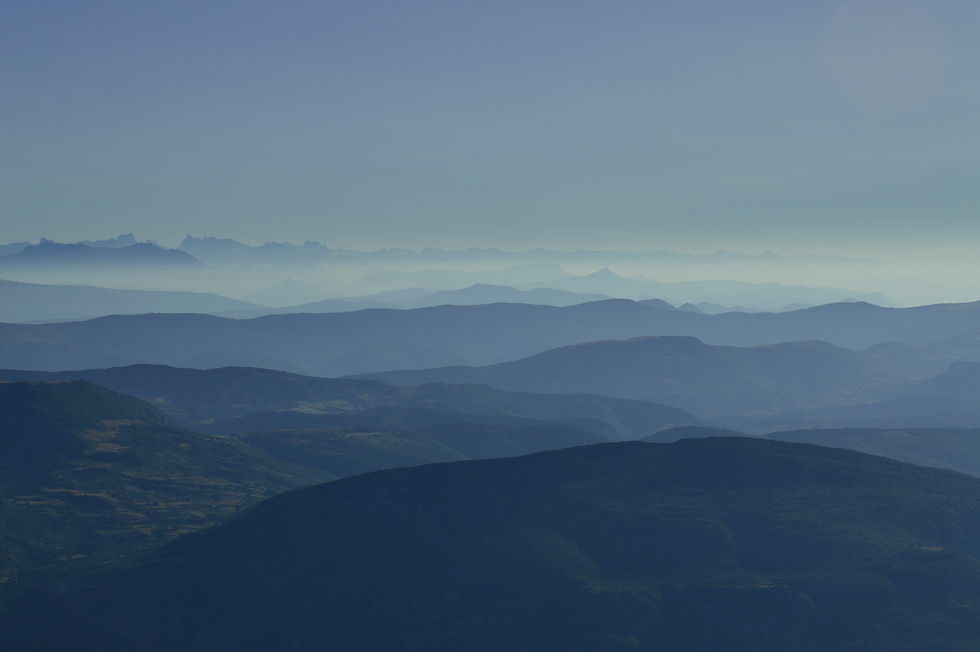 Image by Joost Crop