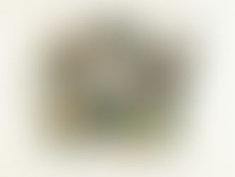 article blog la voie des émotions