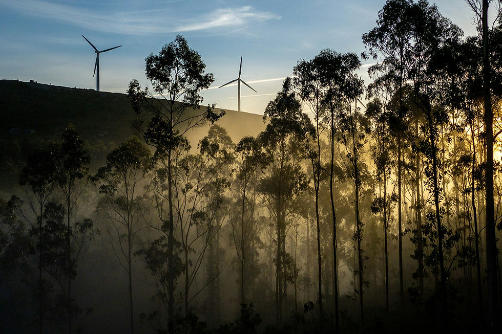 Artigo 3 – Empregos verdes: a nova fronteira do trabalho no Brasil