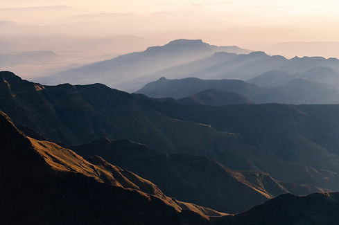 Image by Stephen Coetsee