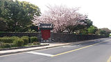 이미지 제공: kyoungil kim