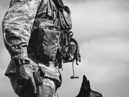 Soldier in uniform stands with a service dog, calm expression. Sky background, monochrome. Dog wears a U.S. flag patch on harness.