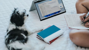 Don’t Let Your Dog Eat Your Estate Planning Homework 🐾