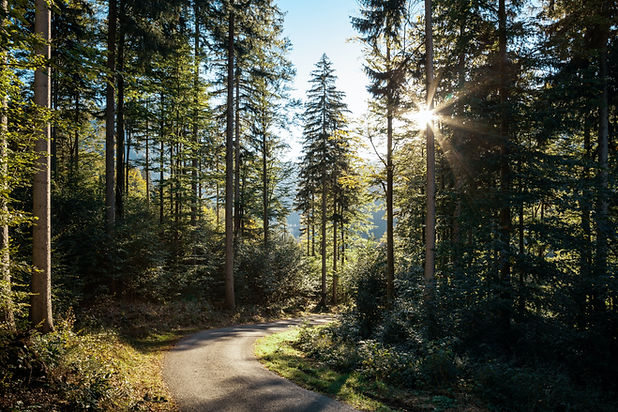 Image by Maximilian Jaenicke