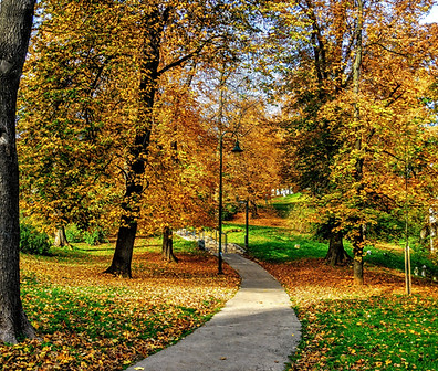 Image by AZGAN MjESHTRI