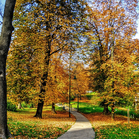 Image by AZGAN MjESHTRI