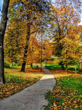 Beautiful parks near by