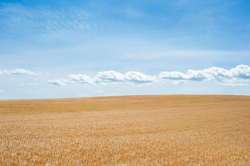 Image by Yuriy Bogdanov