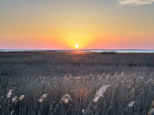 Nourish the Nervous System at Sunrise 