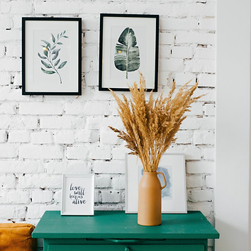 Image by Alexandra Gorn