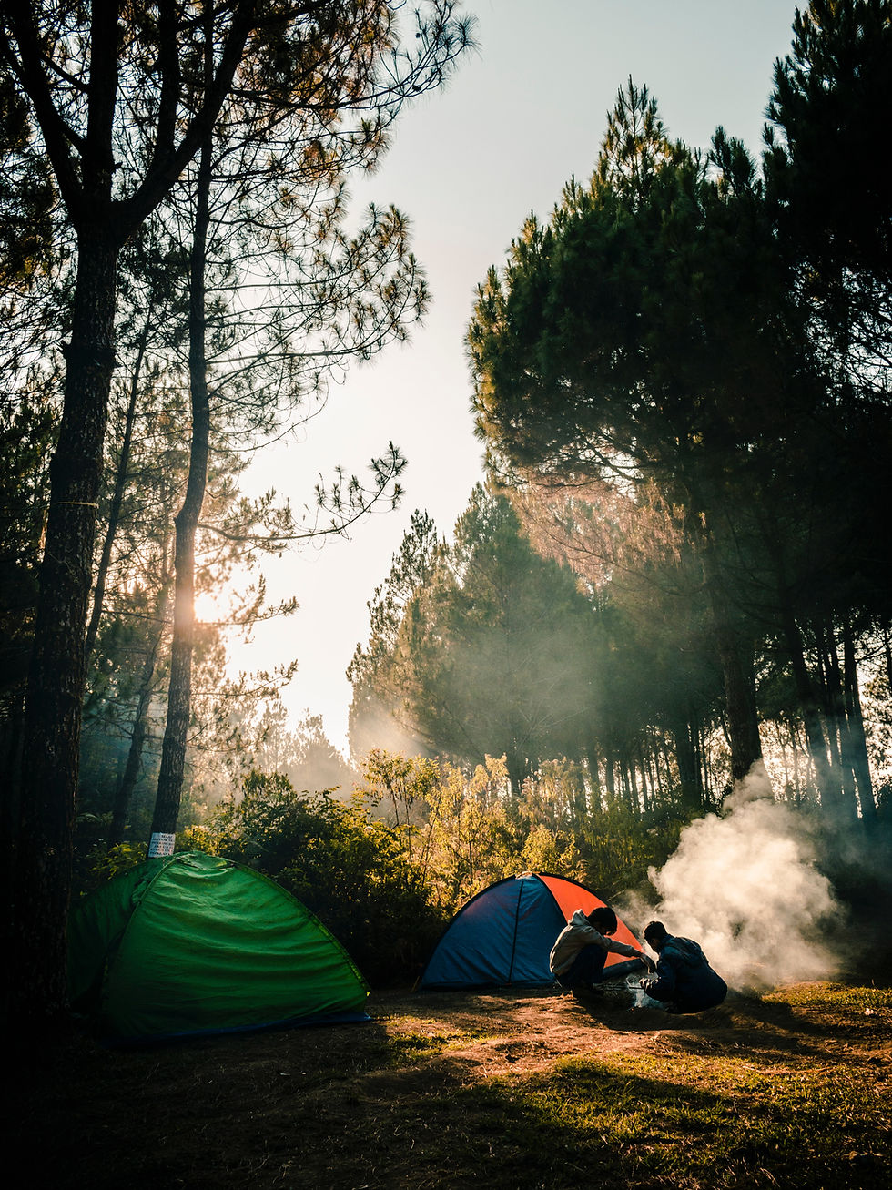 A campsite located in a wooded area.