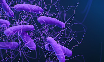 Image by CDC