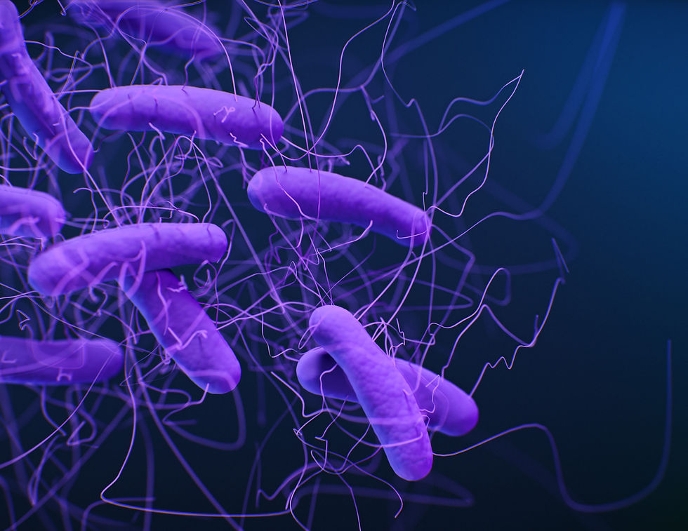 Building a microbiome-supportive routine without overhauling your life