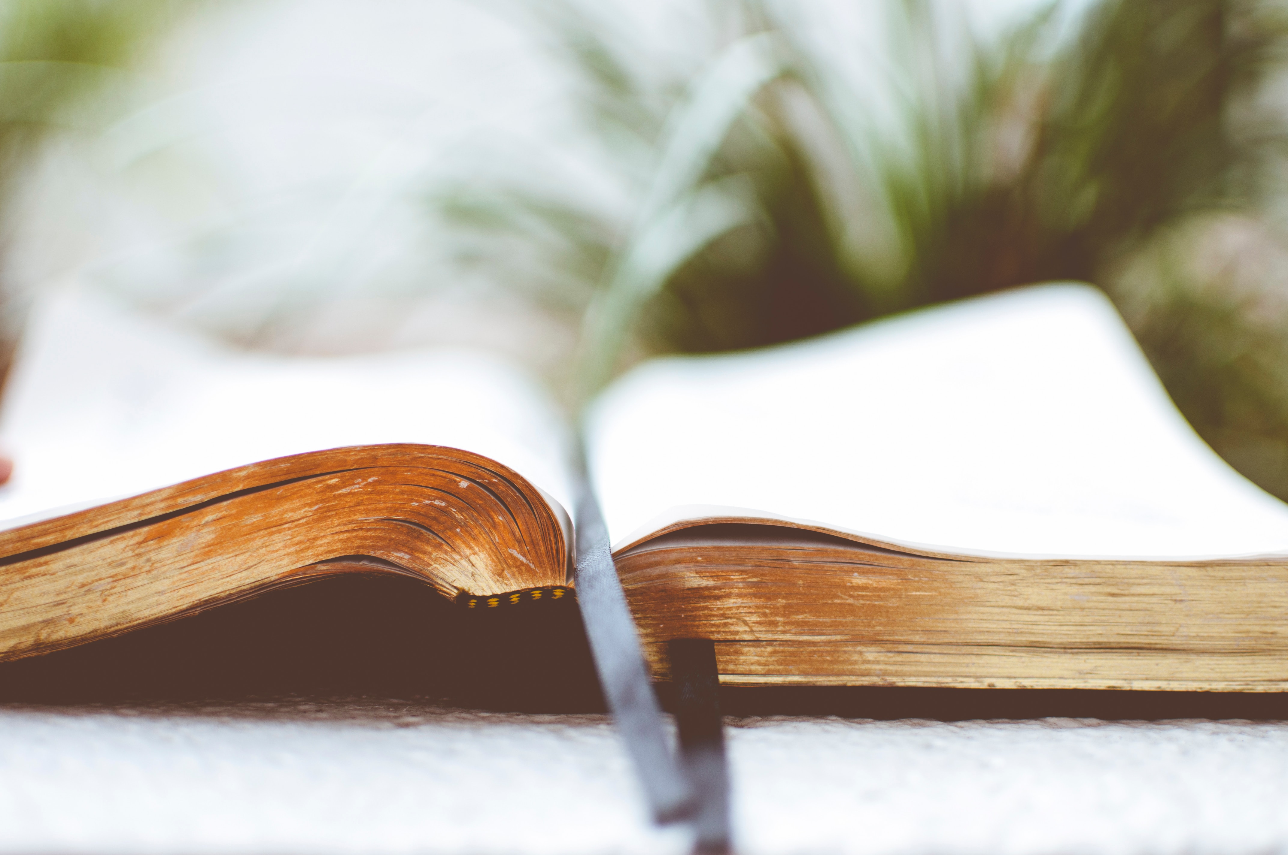 "Bookmarks vs. hate speech"