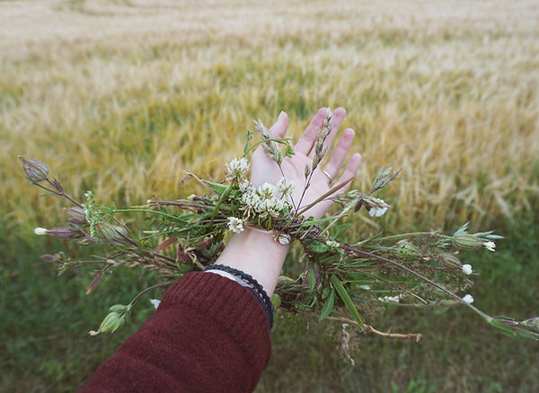 Image by Victoria Strukovskaya