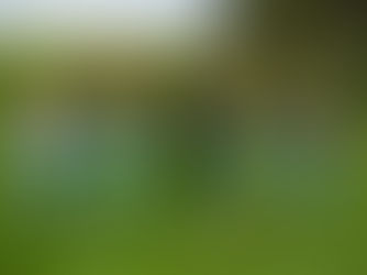 Teens & Therapy: Creating Space to Be Seen, Heard, and Understood