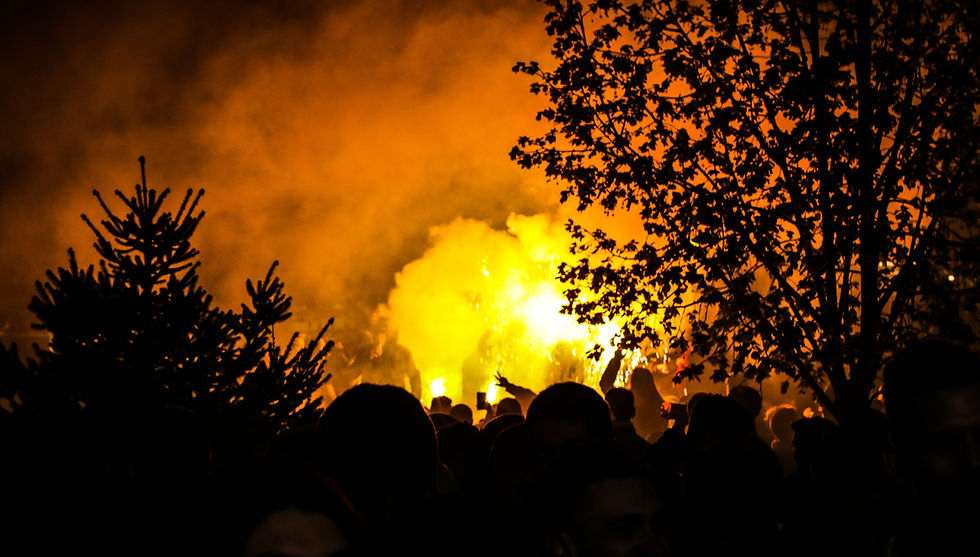 Image by Mladen Popara