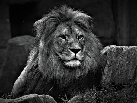 Clifton StrengthsFinder: A Second Look