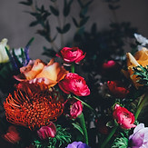 Image by Annie Spratt