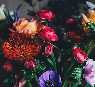 Image by Annie Spratt