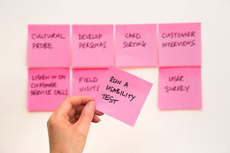 Testing Concepts: Using AI Anthropology to Test Innovation Concepts