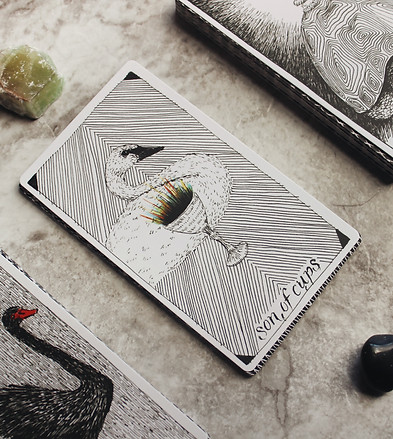 Image by Jen Theodore