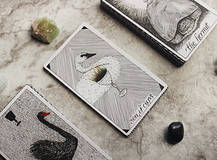 Image by Jen Theodore