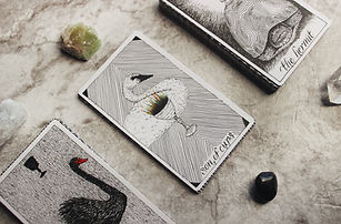 Image by Jen Theodore
