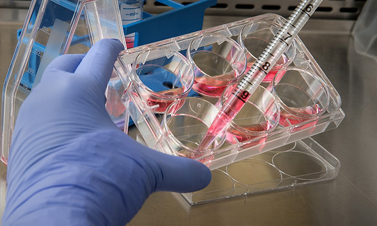 Testing in a lab