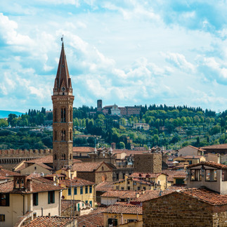 City view Florence Italy