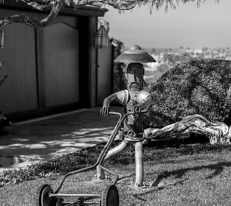 Image by Randy Assell
