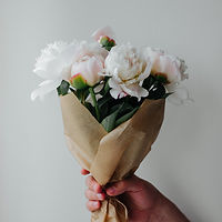 Image by Alina Karpenko