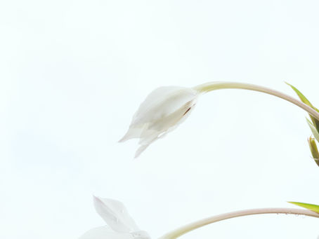 Blasphemy of The Holy Spirit: What It Is and What It Isn't