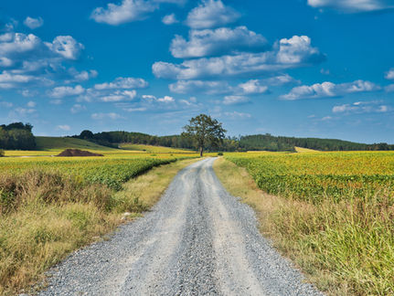 Brock is looking beyond 2026 with a new long-term rural roads strategy